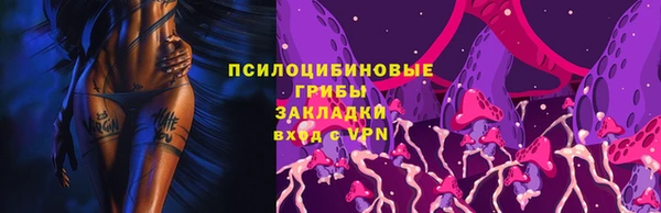 a pvp Верея