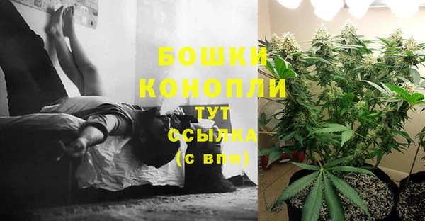 a pvp Верея