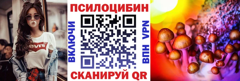 Купить закладки  Злынка  Псилоцибиновые грибы ЛСД 