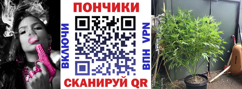 Канабис ГИДРОПОН  Купить  Злынка 